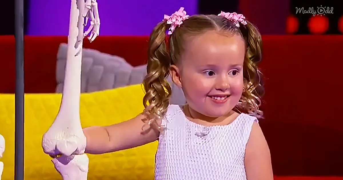 Steve Harvey Impressed by Smart Girl's Knowledge of Human Anatomy