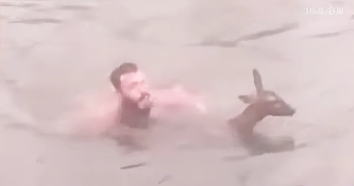 Brave Man Jumps Into Freezing Water in Boxers to Save Drowning Deer