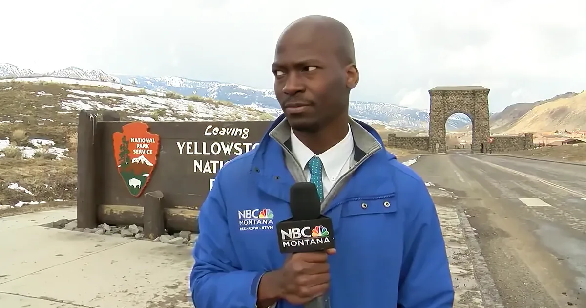 Reporter's Quick Action Keeps Him Safe From Sudden Onset of Bison Herd