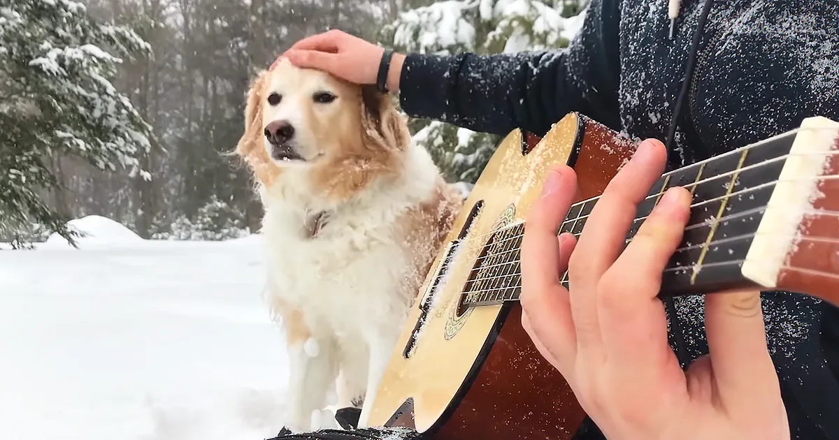 Musician Plays Acoustic Version of 'La La Land' Song for Dog During Blizzard