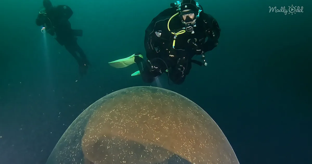 Deep Sea Divers Come Across Giant Squid Egg and Capture Rare Moment on Film