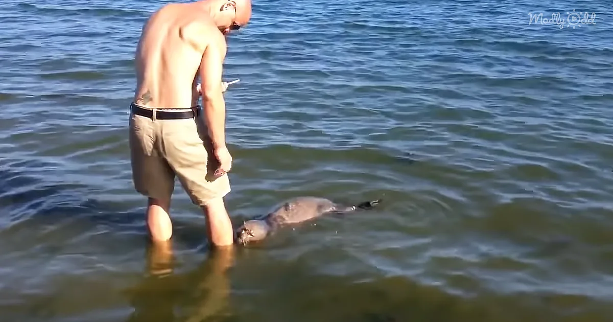 Mysterious Ocean Creature Makes Fast Friends With Family at Beach