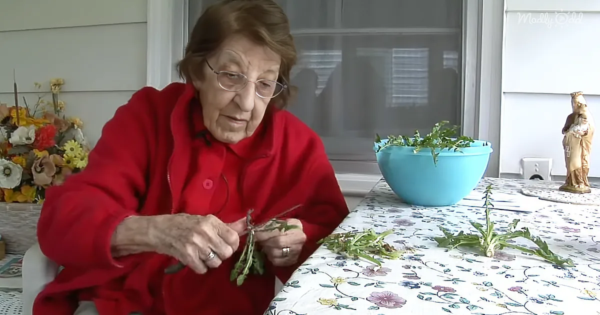 94-Year-Old Grandma Shares Her ''Dandelion Salad'' Recipe From the Depression