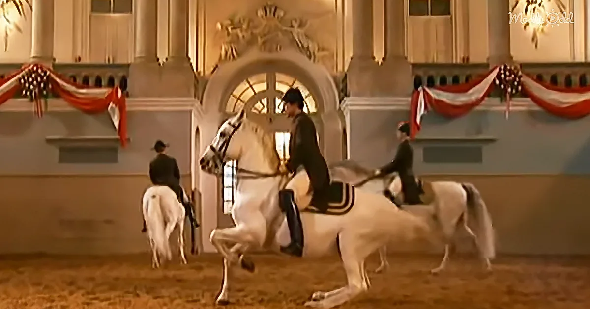 Phenomenal Performance by Riders and Horses at Spanish Riding School of Vienna