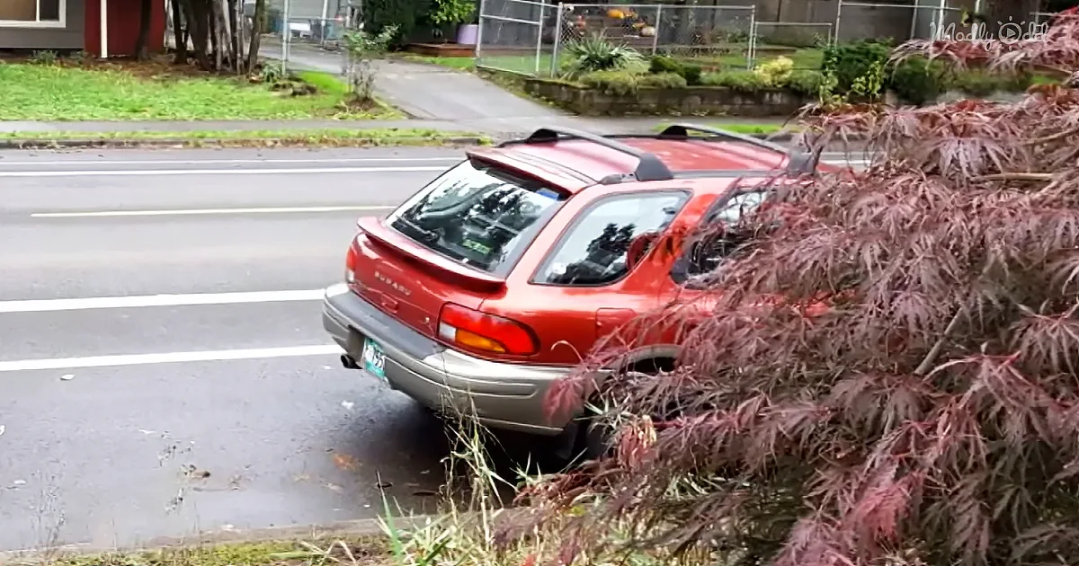 Car Stolen on Accident Gets Returned to Owner With Apology Note and Gas Money