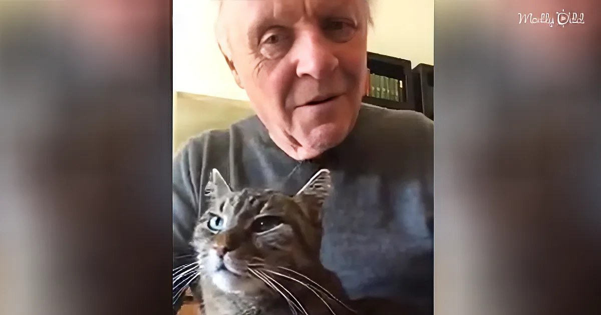 Wholly Wholesome Video of Sir Anthony Hopkins Serenading His Cat