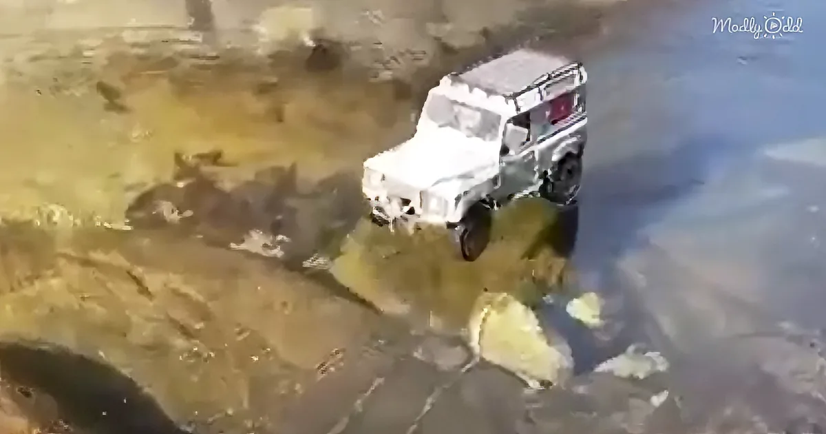 A white vehicle is partially submerged in water near a rocky shore.