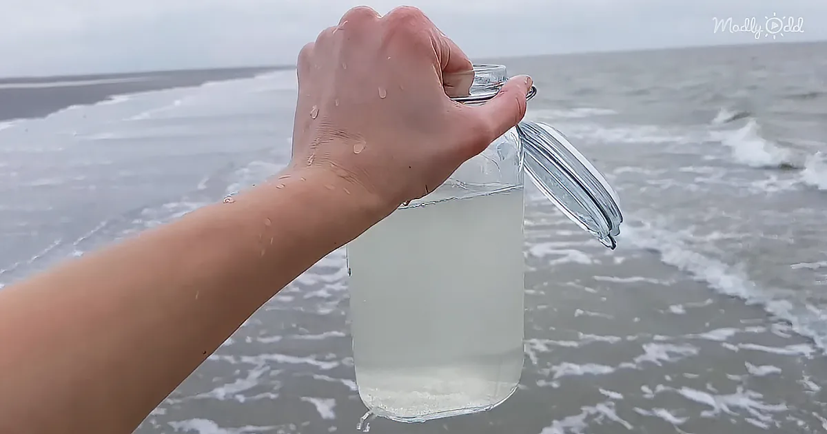 You'll Be Fascinating by This Natural Saltwater Ecosphere in a Jar