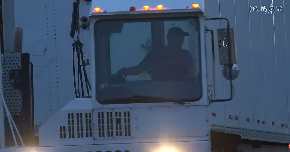 Hard-Working Truck Drivers Say 'I'm Happy to Do It,' While Keeping Our Shelves Stocked During Coronavirus