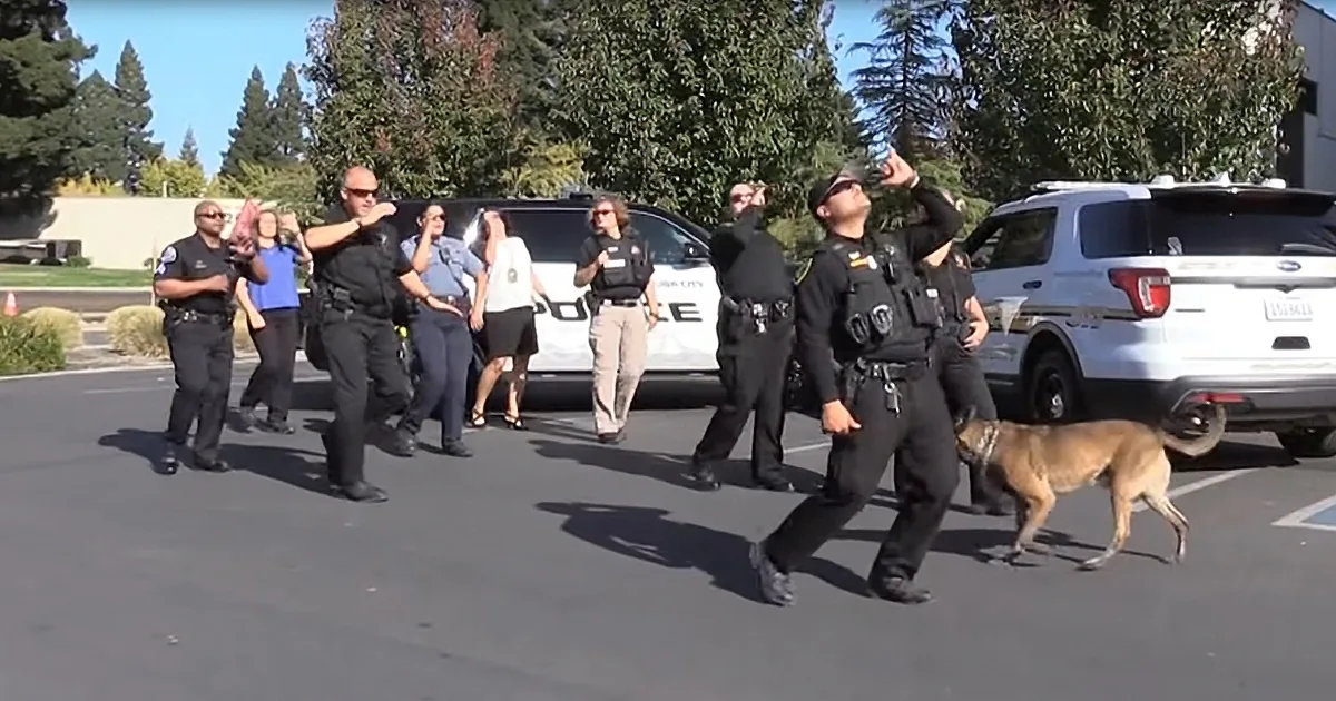 This Police Puppy Certainly Has Moves, Stealing the Spotlight During Viral Dance Challenge