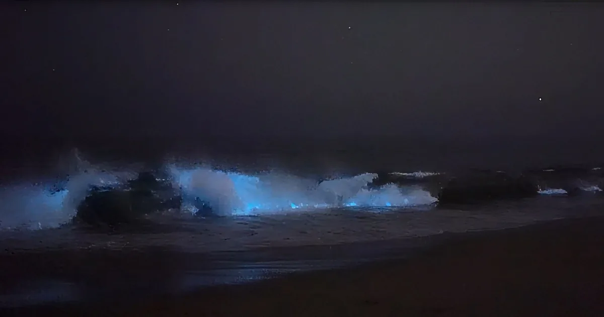 Waves crashing at night with a glowing blue light illuminating the water.