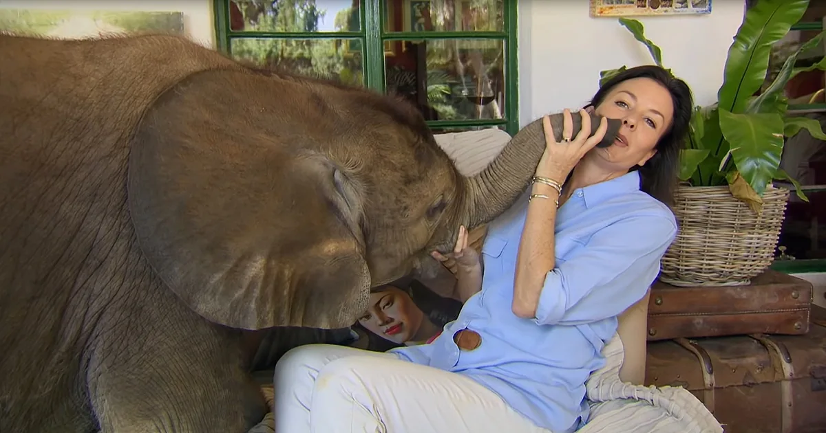 Thankful Baby Elephant Follows Around Selfless Women Who Rescued Her Everywhere