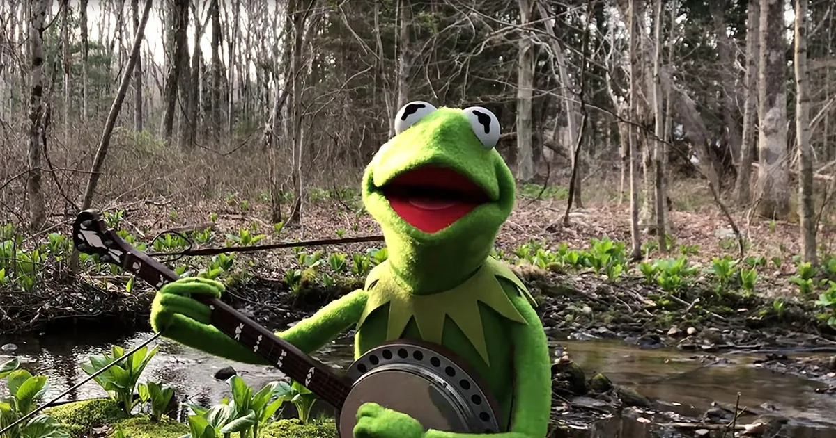 Kermit the Frog Sings Heartfelt Self-Isolated Rendition of 'Rainbow Connection'