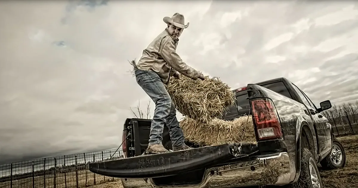 A man in a cowboy hat loads hay into the bed of a black pickup truck under a cloudy sky.