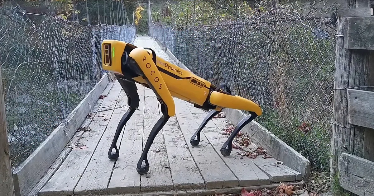 Watch out Fido Here Comes Robo-Dog, Sheep Herding for Tomorrow