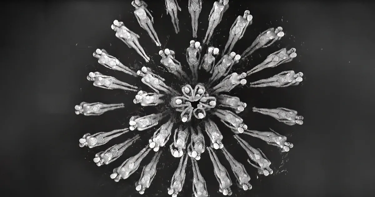 Jaw-Dropping Human Waterfall Created in Footlight Parade