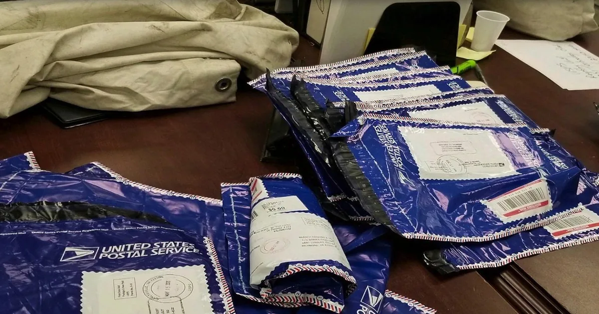 Unsuspecting Family Finds One Million Bucks in Bags on Street