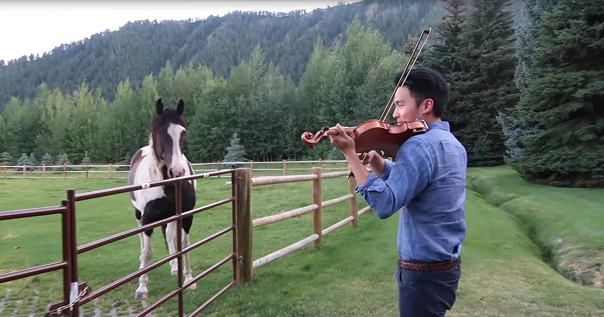 A man plays violin near a horse in a fenced pasture with a forested mountain backdrop.