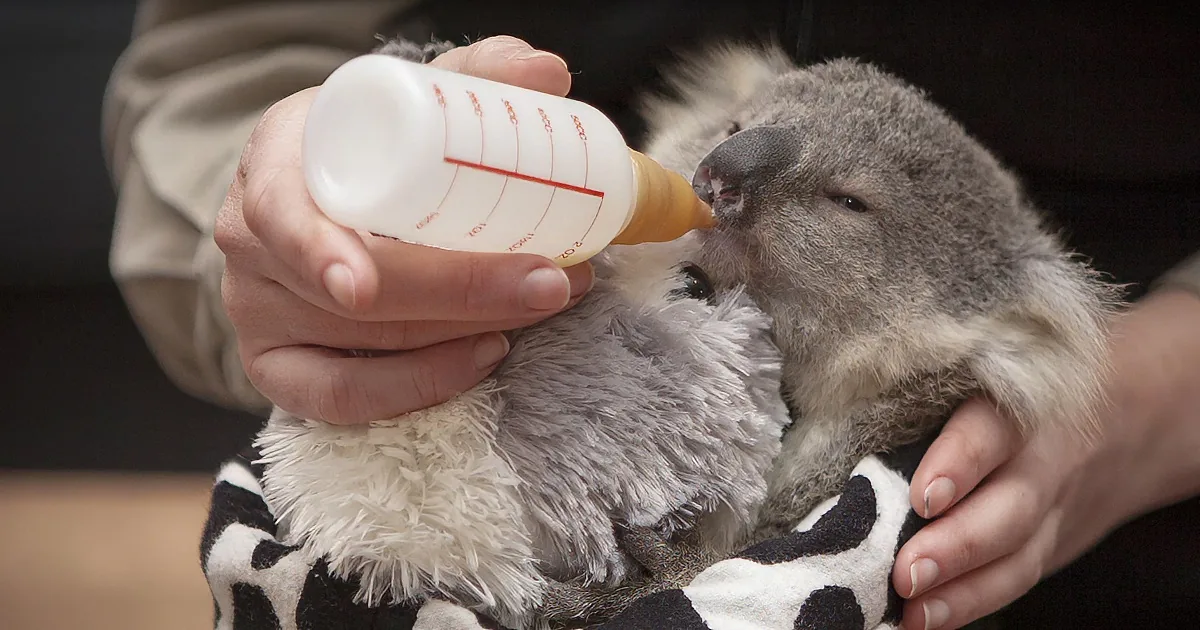Baby Imogen Cuddles up to Her New Mom and Our Hearts Are Melting