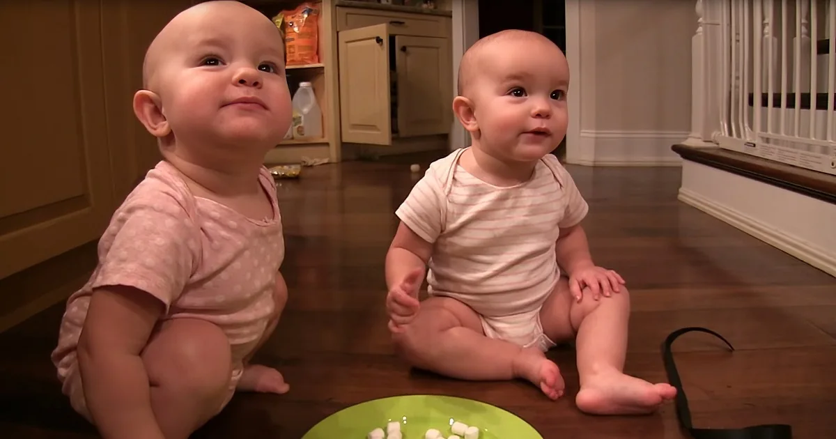 Charming Twin Babies Enjoy Big Plate of Marshmallows
