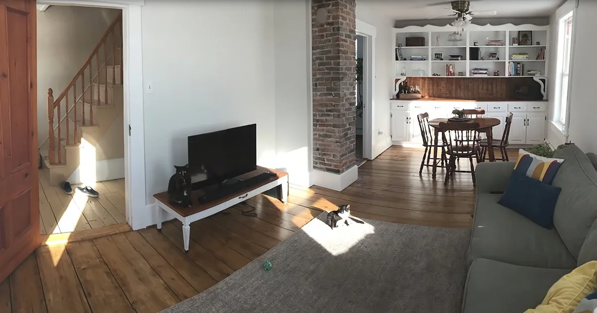 A cozy living room with a TV on a wooden stand, a cat on the floor, and sunlight streaming in.