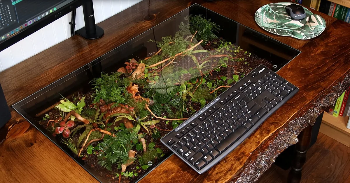 This Diy Terrarium Computer Desk Will Blow Your Mind