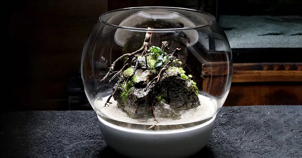 Turn a Fishbowl Into a Stylish Diy Bubble Rock Fountain Bowl