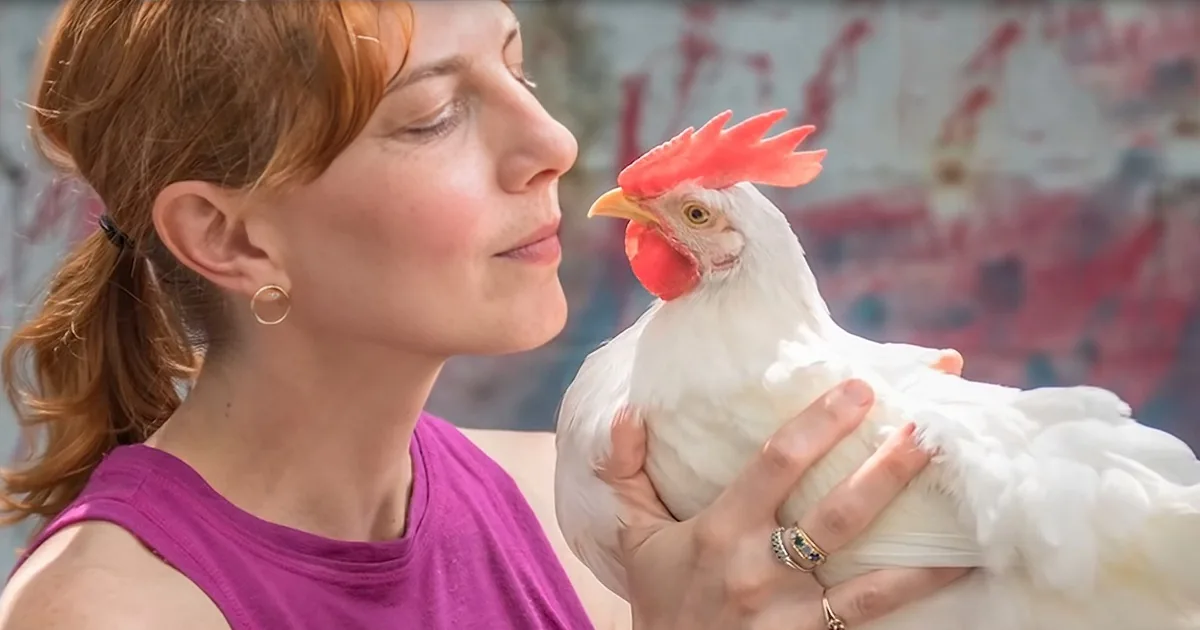 NYC Doesn't Allow Roosters, This Chicken Rescuer's Life Changed Forever