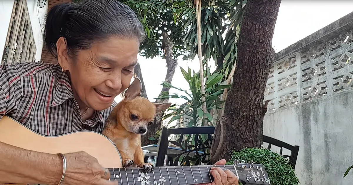 Precious Woman Sings 'The Sound of Silence' Alongside Adorable Chihuahua