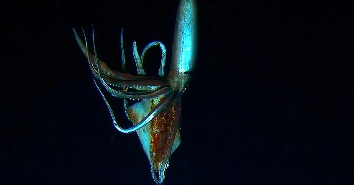 A Jules Verne Novel Comes to Life in up-Close Footage