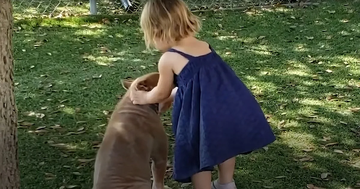 2-Year-Old Rescues Sick Pitbull and Her Drive & Compassion Is Inspiring