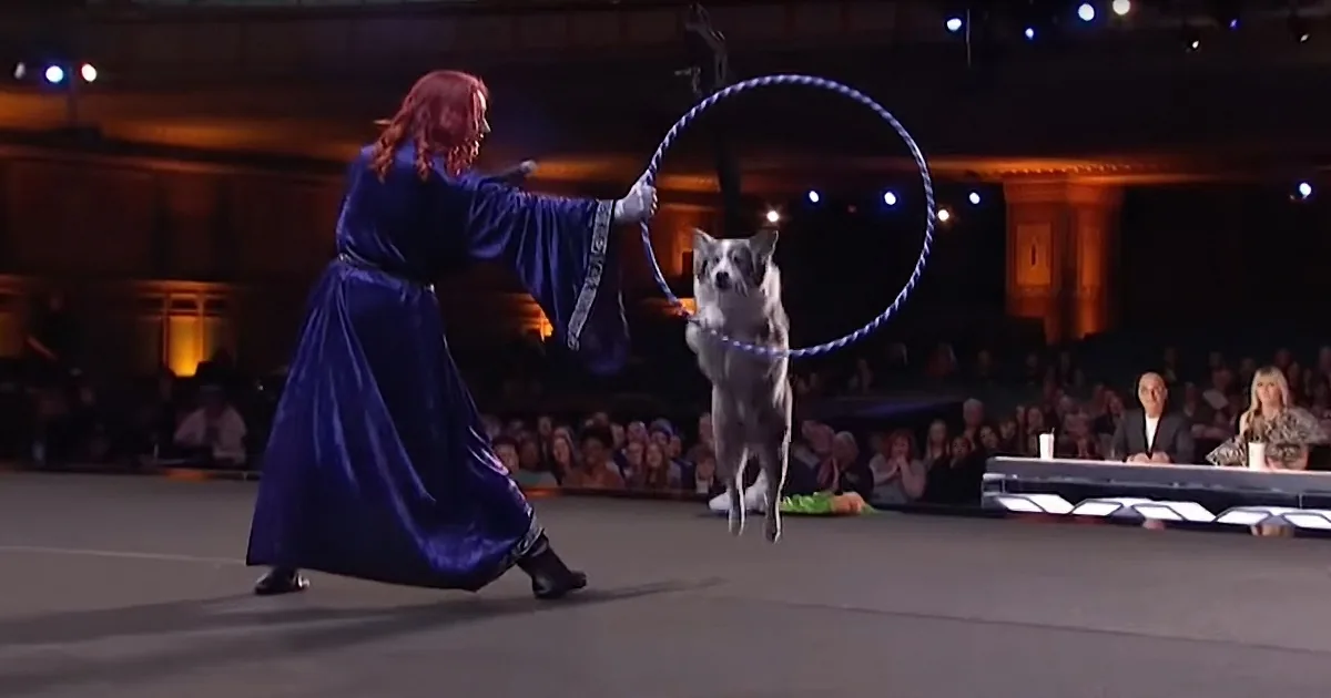 A woman in a blue robe guides a dog through a hula hoop on a stage in front of an audience.