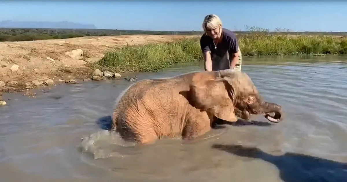 Free-Spirited Baby Elephant Loves Her Day at the Spa
