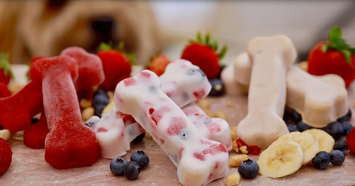 Sous Chef Dog Helps Share Frozen Treat Recipes to Keep Pets Cool in Summer