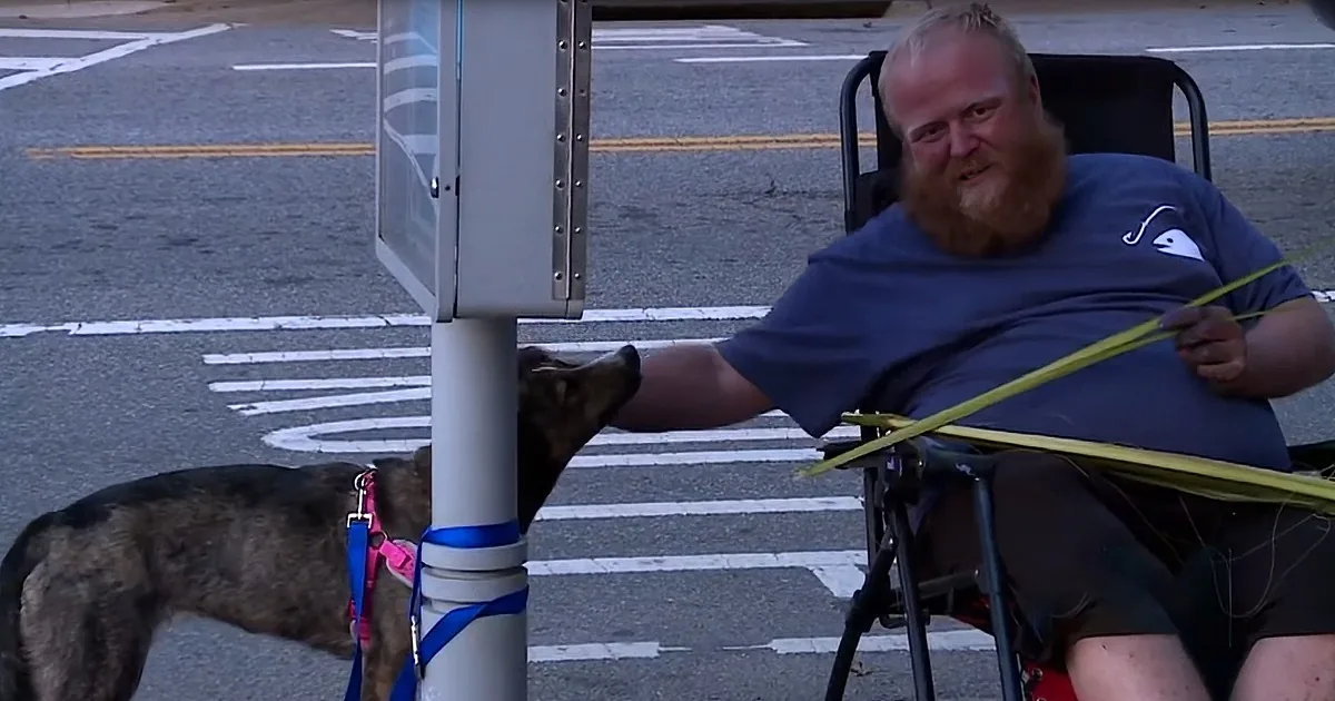 Homeless Street Artist Reunited With Stolen Service Dog Who Sniffs out His Seizures
