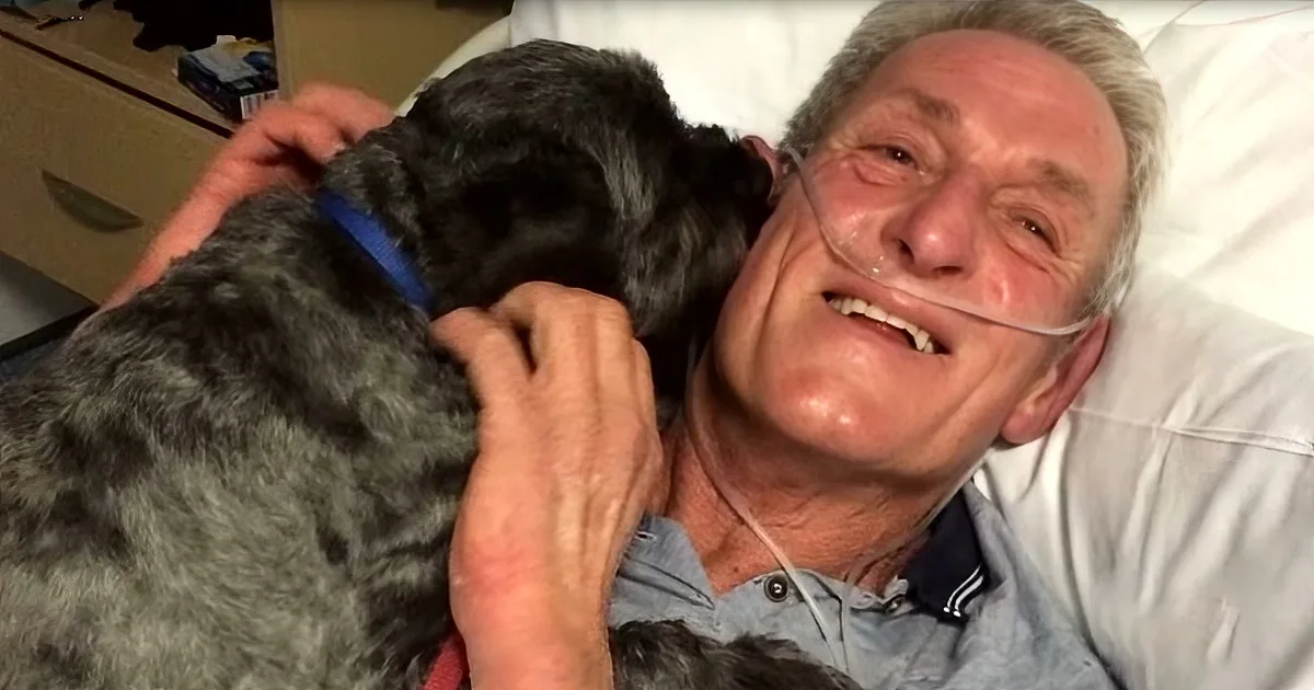 Rescue Dog Returns Favor and Brings His Beloved Owner out of a Coma