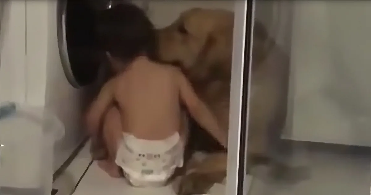 A baby in a diaper is standing in a bathroom, facing away from the camera.