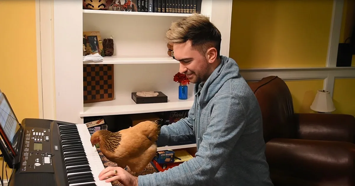 Chicken Steals Hearts and the Show With Quirky Piano Rendition of 'Heart and Soul'