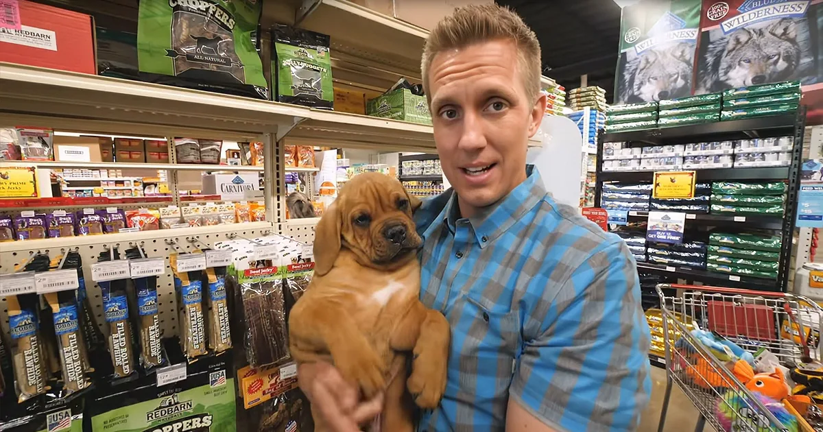 Sweet Blind Puppy With No Home Experiences Foster Dad's Kindness at the Pet Store