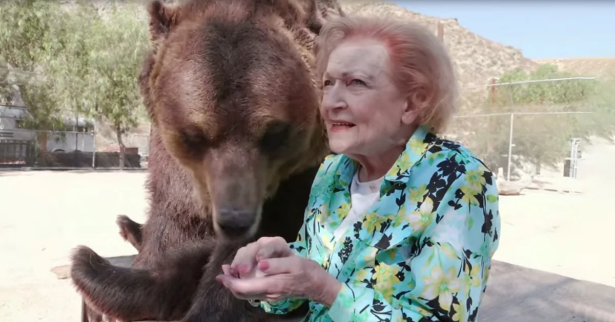 An elderly woman in a floral shirt interacts with a large brown bear in an outdoor setting.