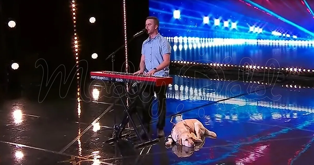 Matt McLaren and His Seeing-Eye Dog Reduce Judges to Tears With 'All of Me'