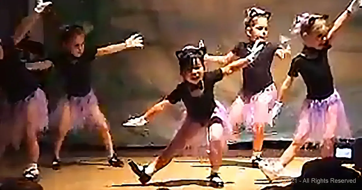 Tiny Tap-Dancing 'Kittens' Steal the Show in Just Seconds