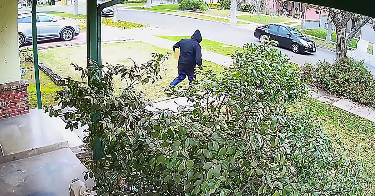 Man Pulls Hilarious Prank on Package Thieves With Help From His Feline Friend