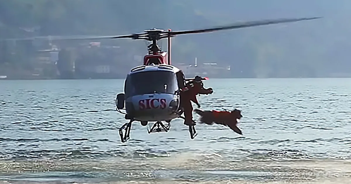 Training Video Showcases Epic Footage of Lifeguard Dogs in Training Jumping out of Helicopter