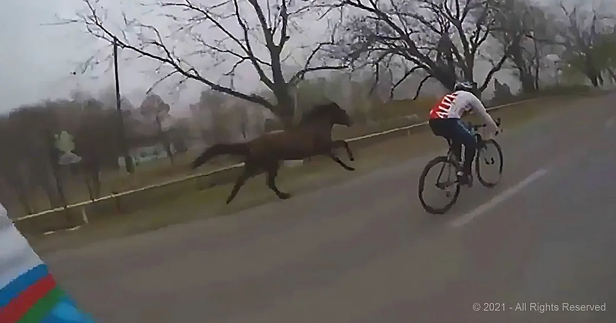 Capricious Horse Suddenly Abandons Pasture to Join pro Bike Race