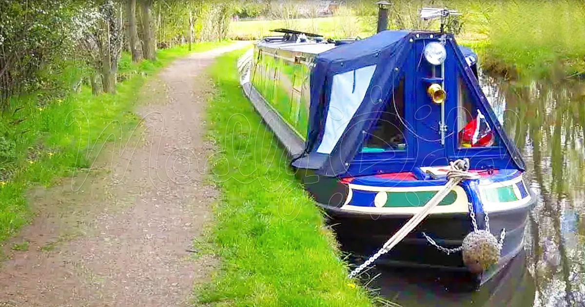 A blue canal boat with a white canopy is moored on a calm canal, surrounded by green grass and trees.