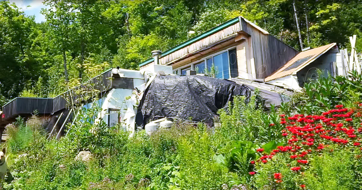 Woman Lives off-Grid in 'Swiss Family Robinson' Inspired House