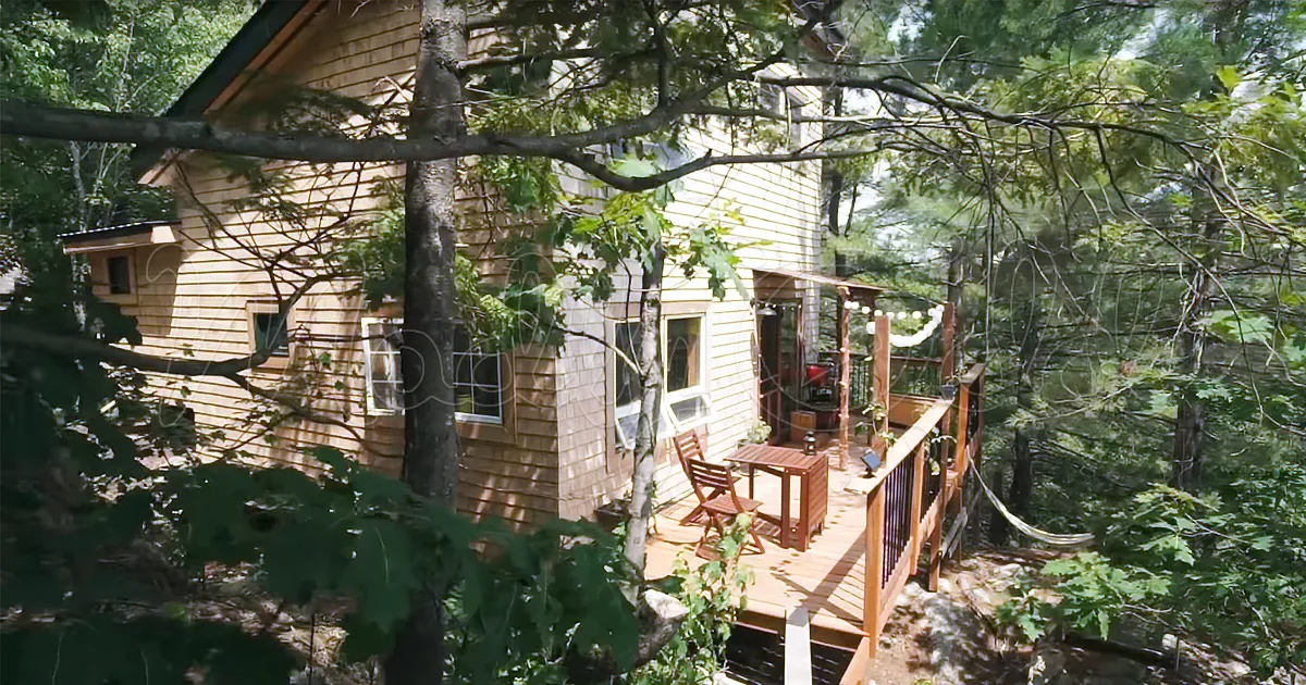 Jaw-Dropping off-Grid Cabin Built One Man for Only $65,000