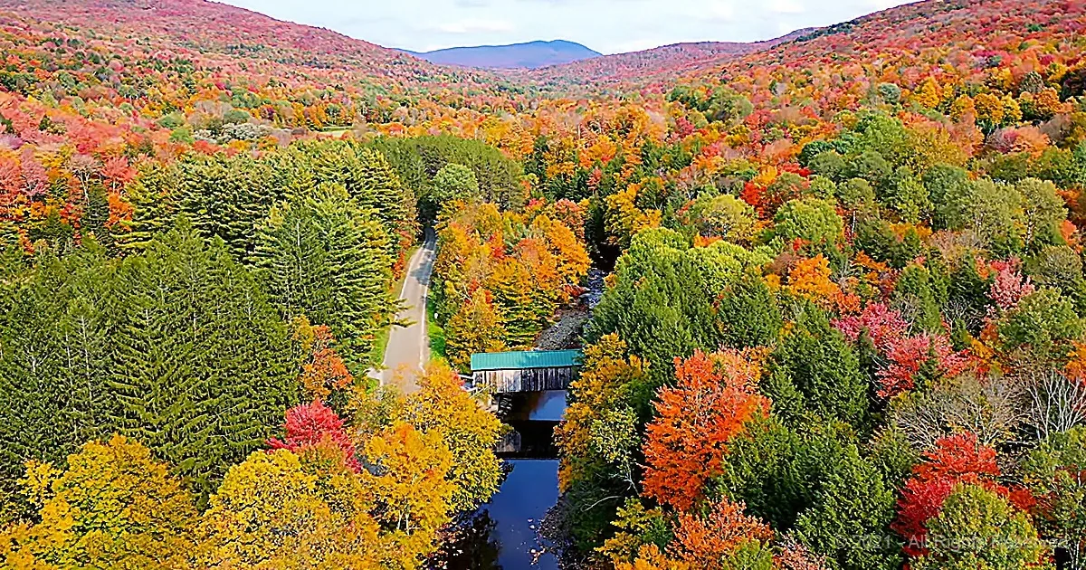 Gorgeous Views of Vermont's Fall Foliage From Above Shows Unlimited Colors