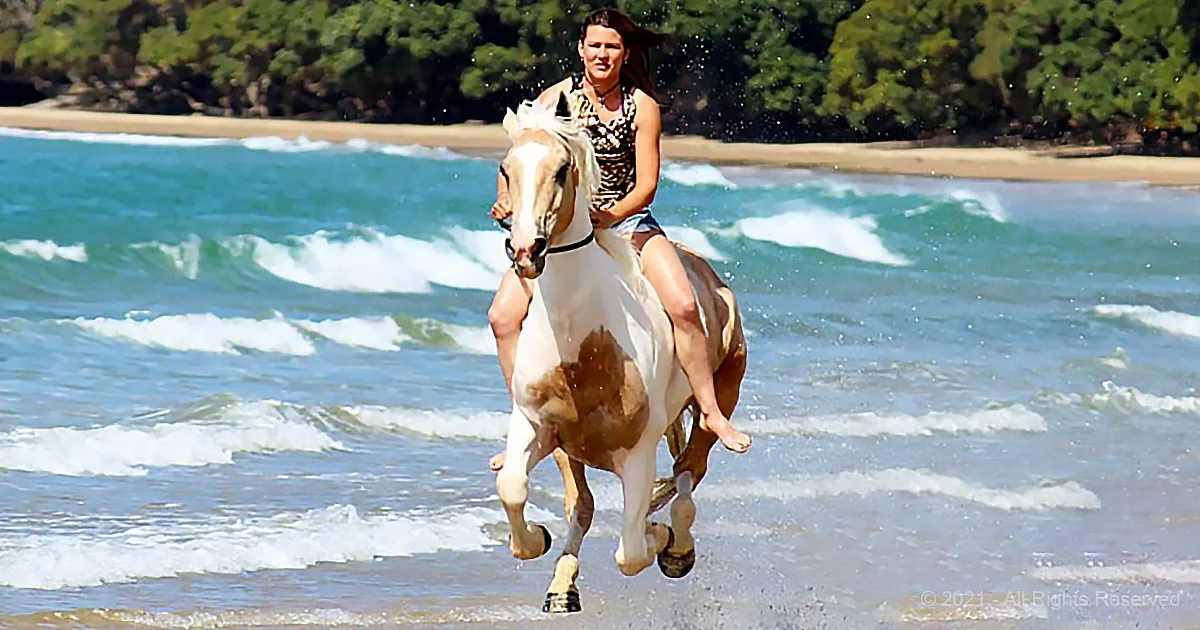 Extreme Bareback Horse Riding Catapults Woman Into a Viral Success